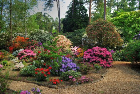 Rhododendronpark