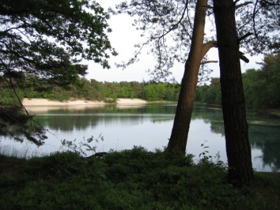 Waldsee